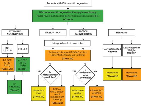 epec treatment guidelines pdf